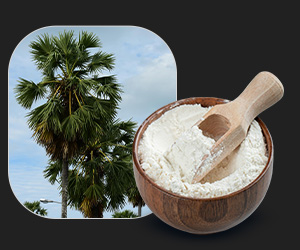 Cycas Circinalis Powder