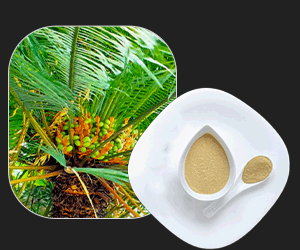 Palm Powder