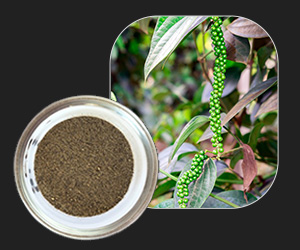 Pepper Powder