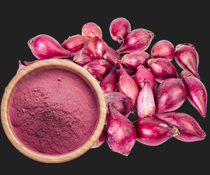Shallot Powder