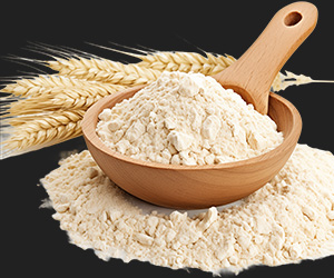 wheat flour Powder